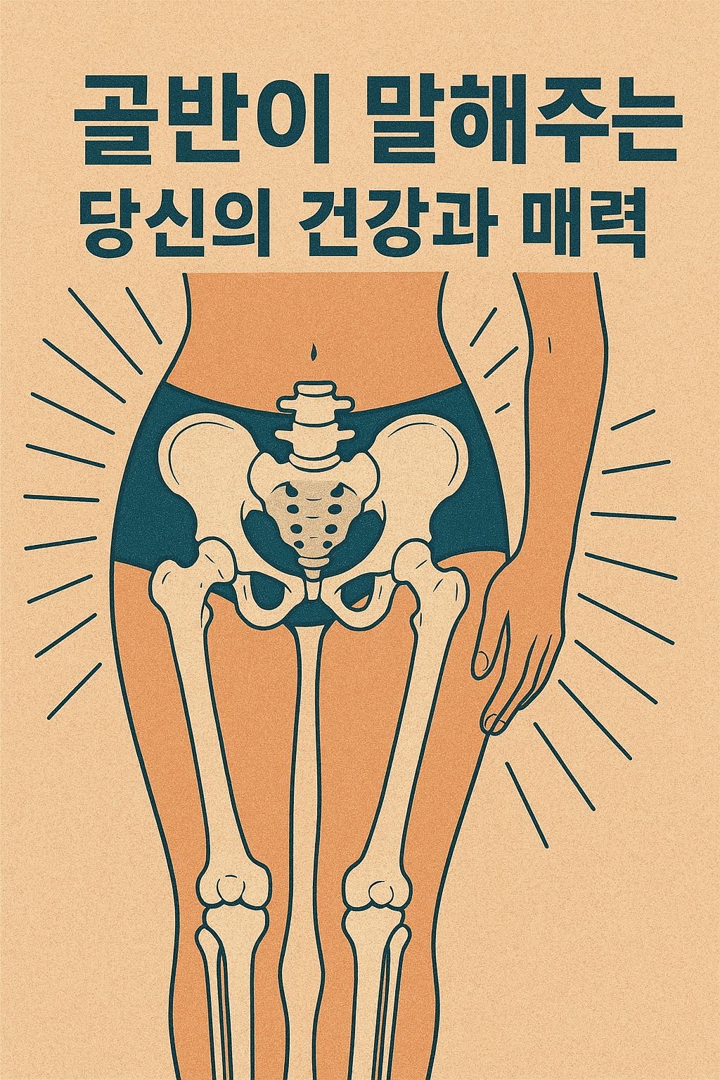 골반이 말해주는 당신의 건강과 매력 제목을 나타내는 골반이미지