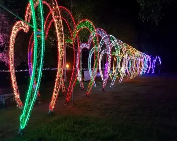 얼음 나라 화천 산천어축제_23