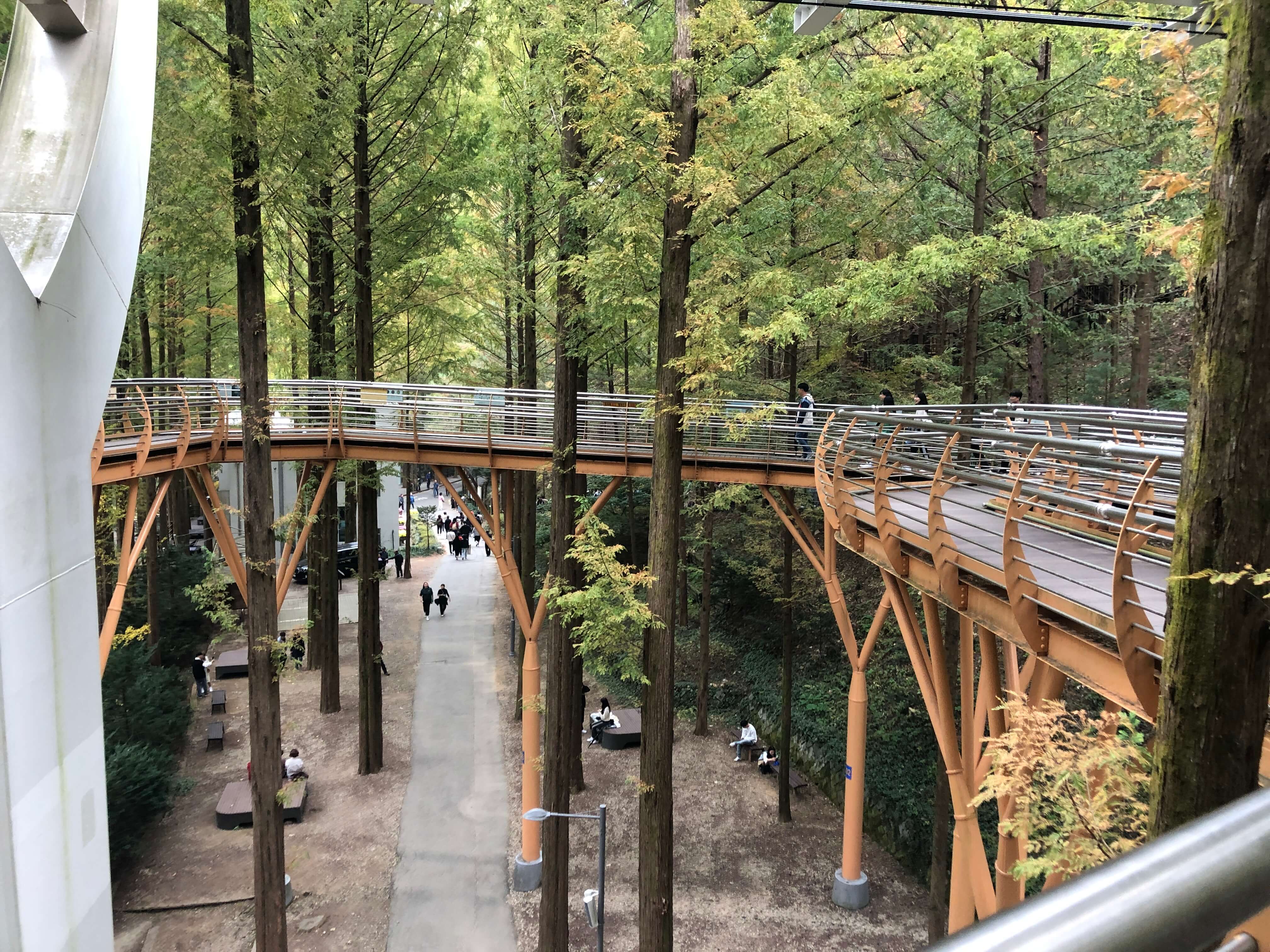 장태산 자연휴양림 예약 