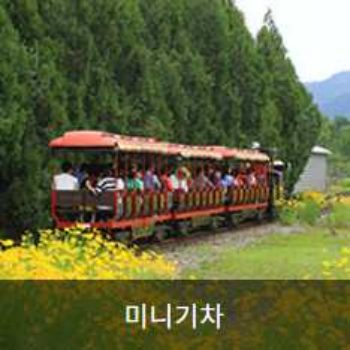 곡성장미축제