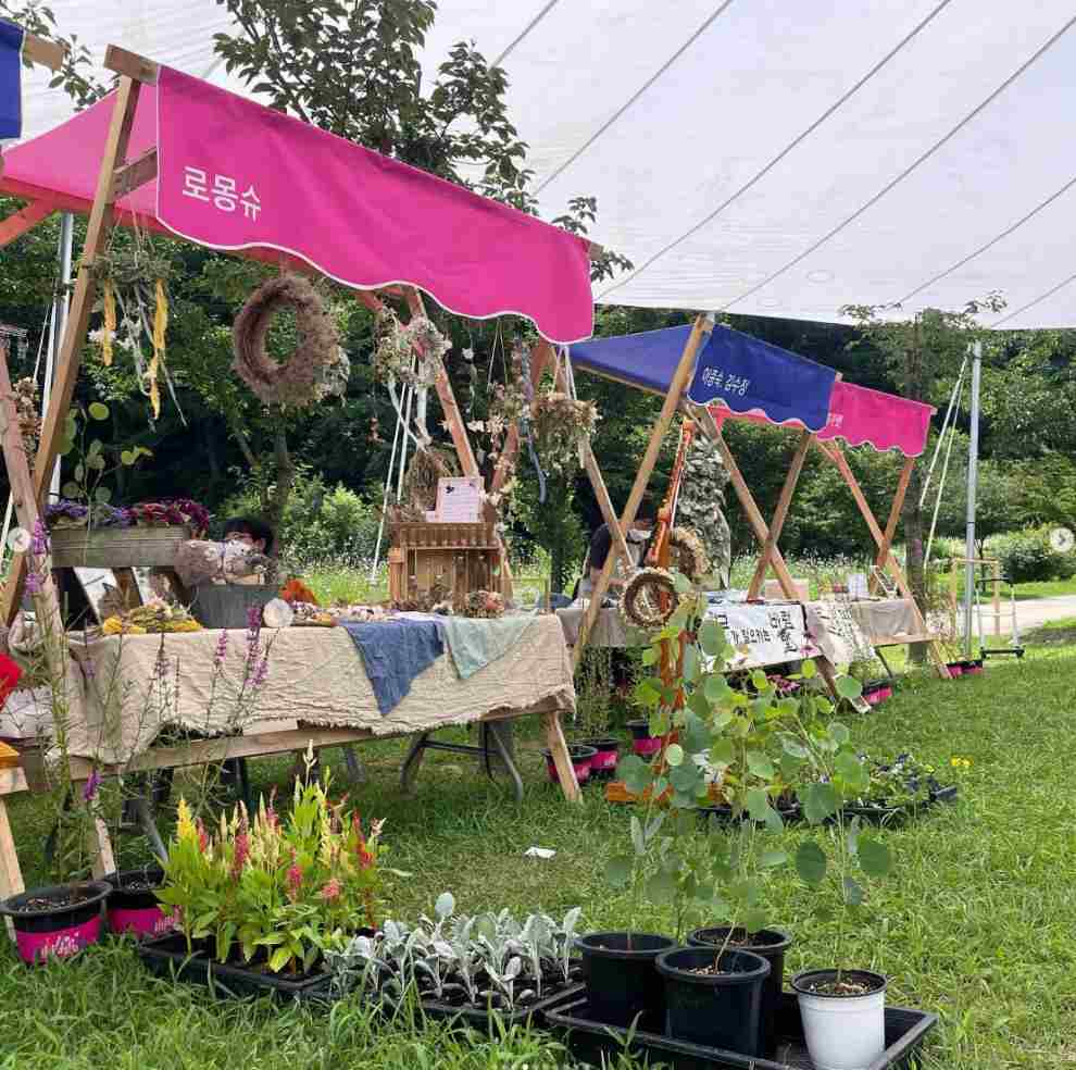 백두대간 봉자페스티벌