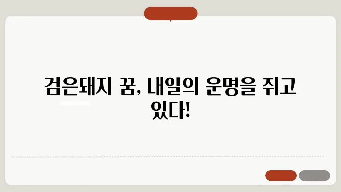 검은돼지 꿈 해몽