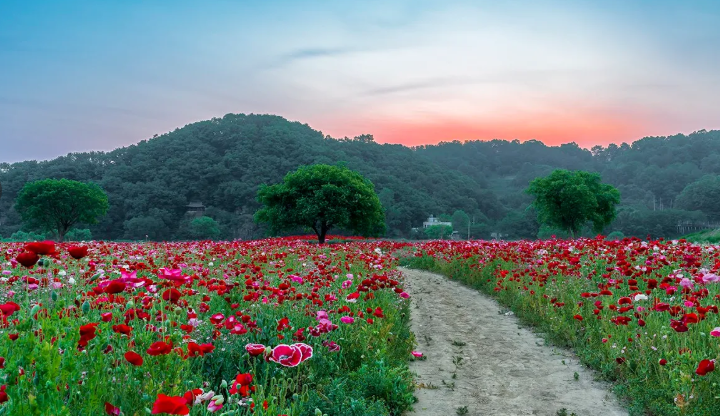 자연 속 힐링 여행지, 함안 악양생태공원 완전 정복