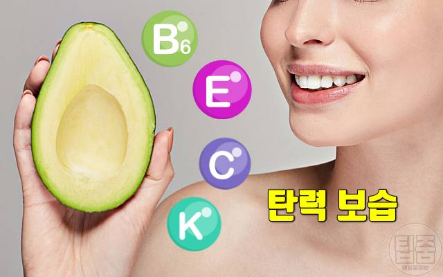 아보카도 매일 먹으면 아보카도 효능 피부 보습 아보카도 1인분