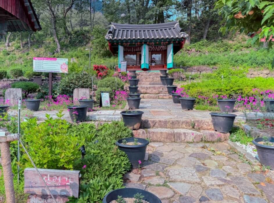 청송 대전사 : 주왕산 천혜의 자연 속 천년 고찰 기암괴석 아래 피어난 천년 고찰의 미학