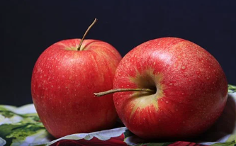 abc 주스 레시피