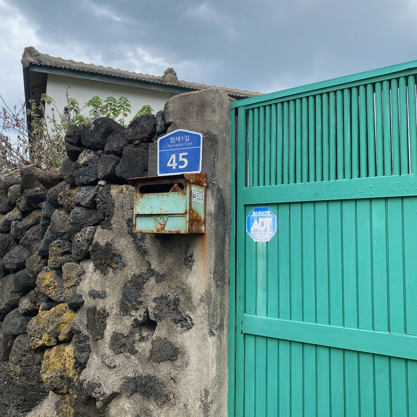 제주 한림 협재포구 협재해수욕장 카페 뚜이 cafe tui 주차 추천 리뷰 플랫화이트 뉴질랜드 고려대 카페