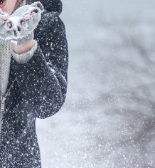 겨울철 무우보관법