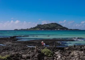 4월 제주도 가볼만한곳 2025년 10선_13