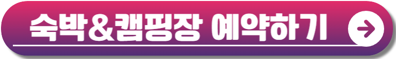무안 연꽃축제