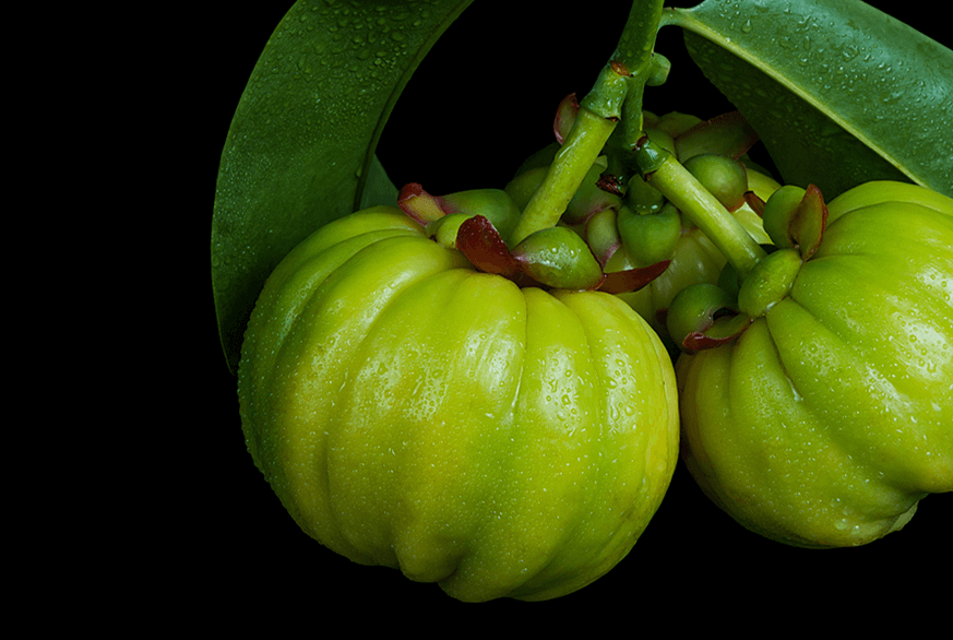 2023년 맨올로지컷 파란통 다이어트 후기! 총정리