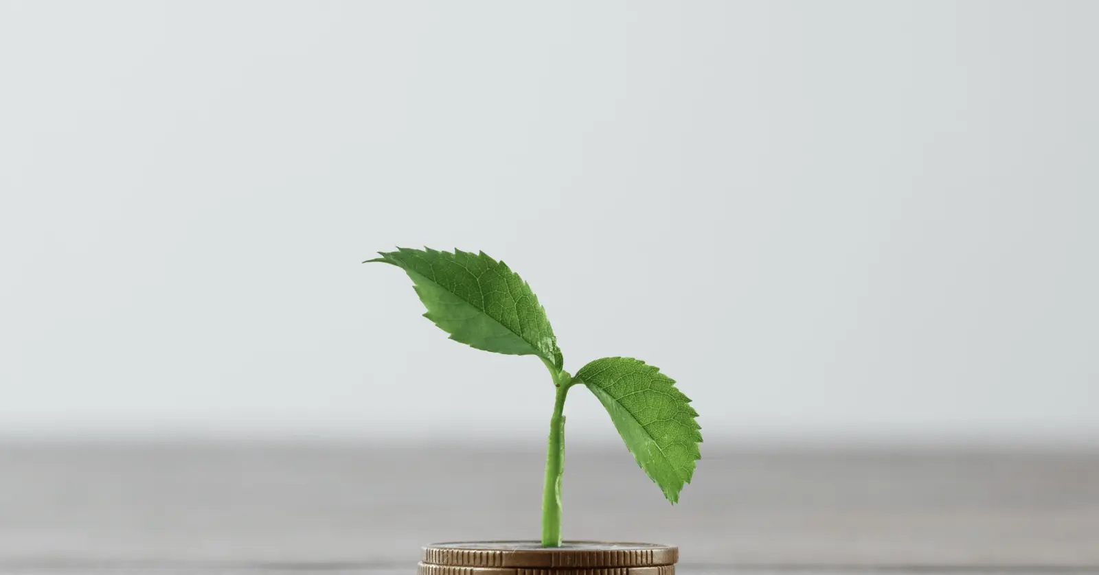 이자에 영향을 미치는 요소들