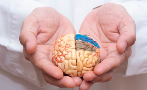 포스파티딜 세린 부작용