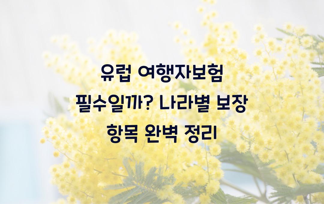 유럽 여행자보험 필수일까? 나라별 필수 보장 항목 정리!