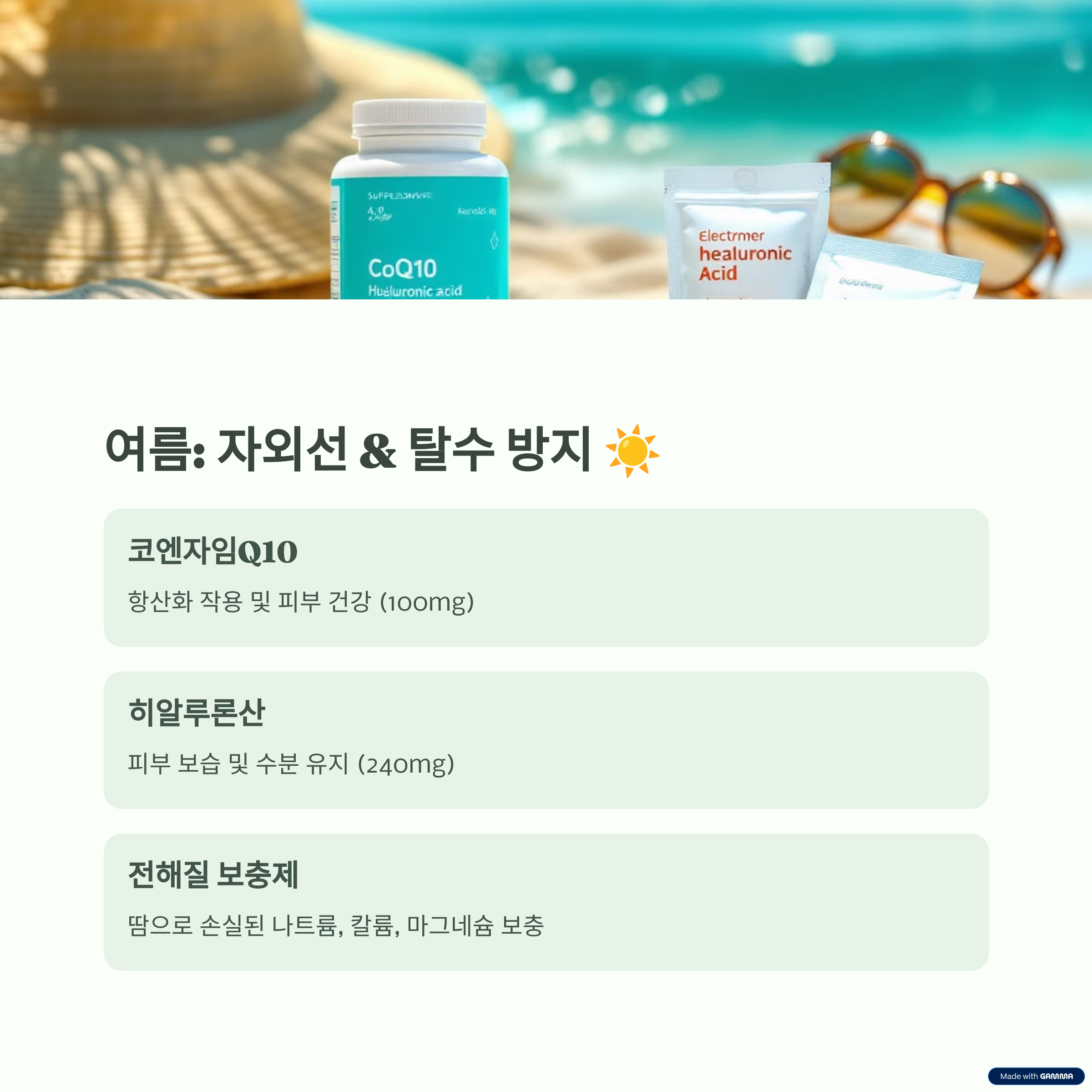 건강 보조식품 정리 4