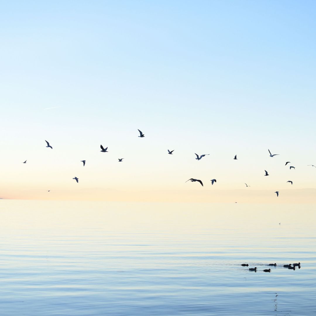 광주/5&bull;18/민주화운동기록관