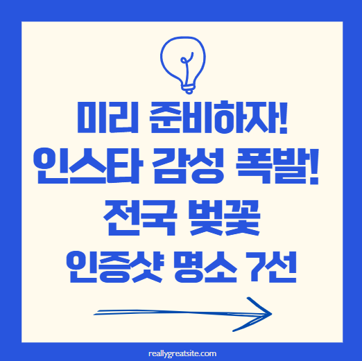 대표 타이틀 관련 이미지