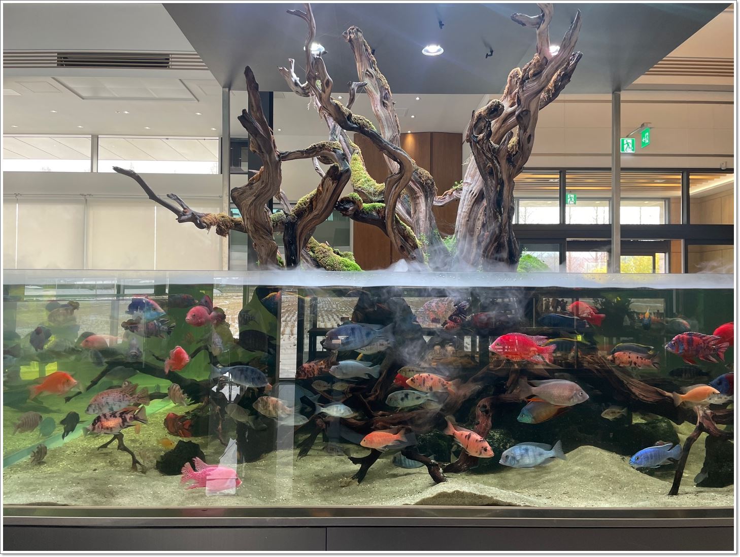 수족관-형형색색물고기들