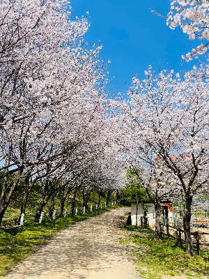 당진 아그로랜드