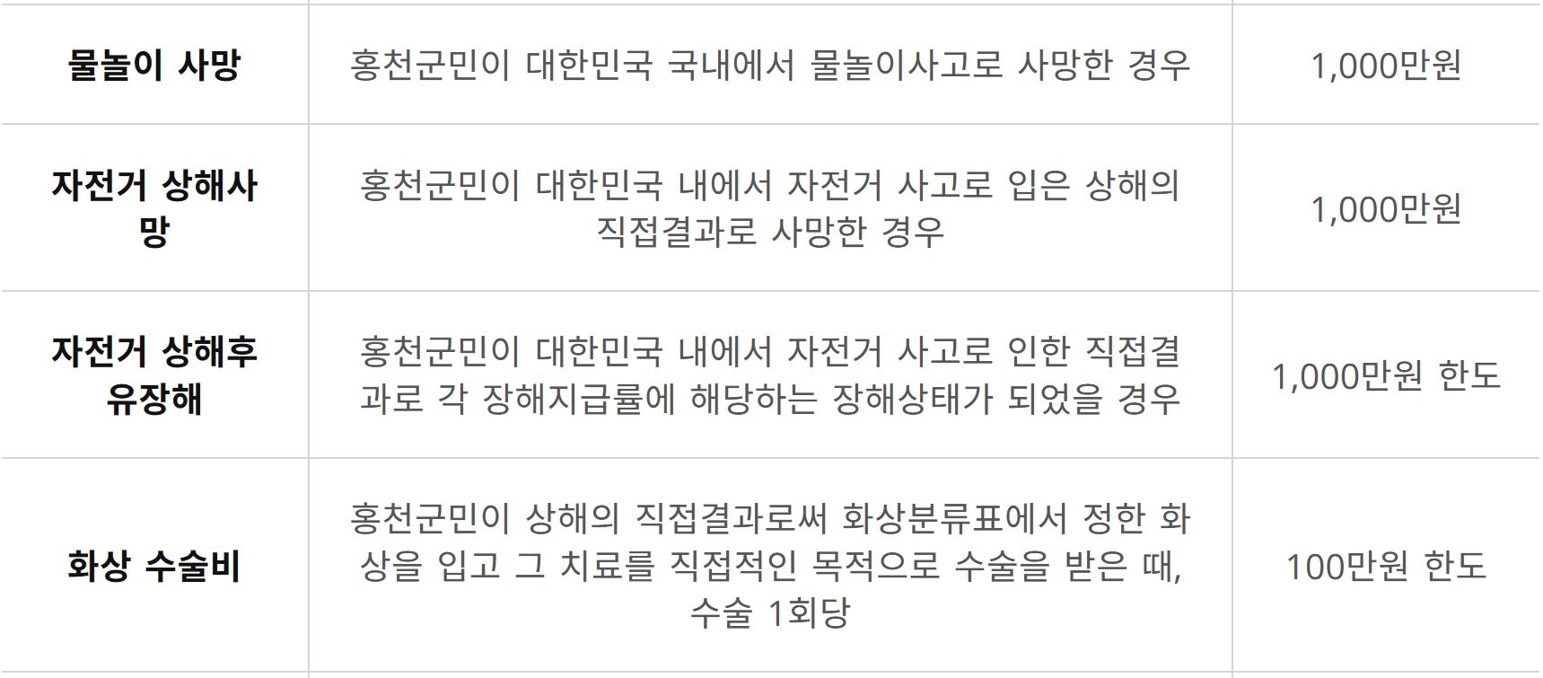 홍천군 군민안전보험