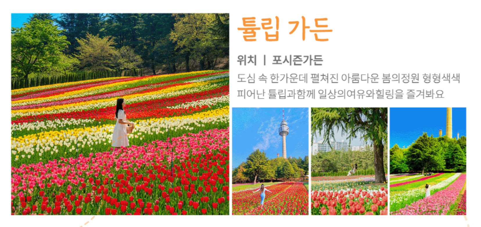 이월드 튤립 트래블
