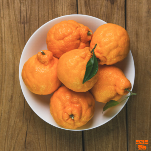 한라봉 효능│한라봉 효능 알고 드세요!