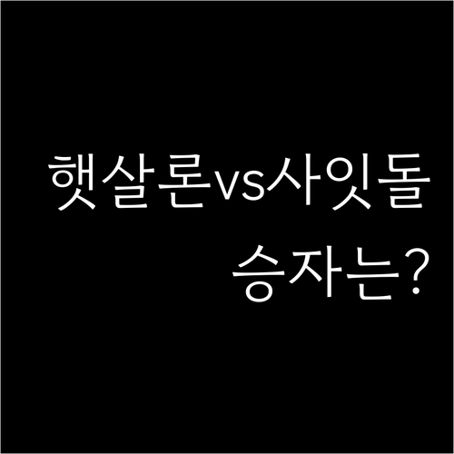저신용 저소득층을 위한 햇살론과 사잇..
