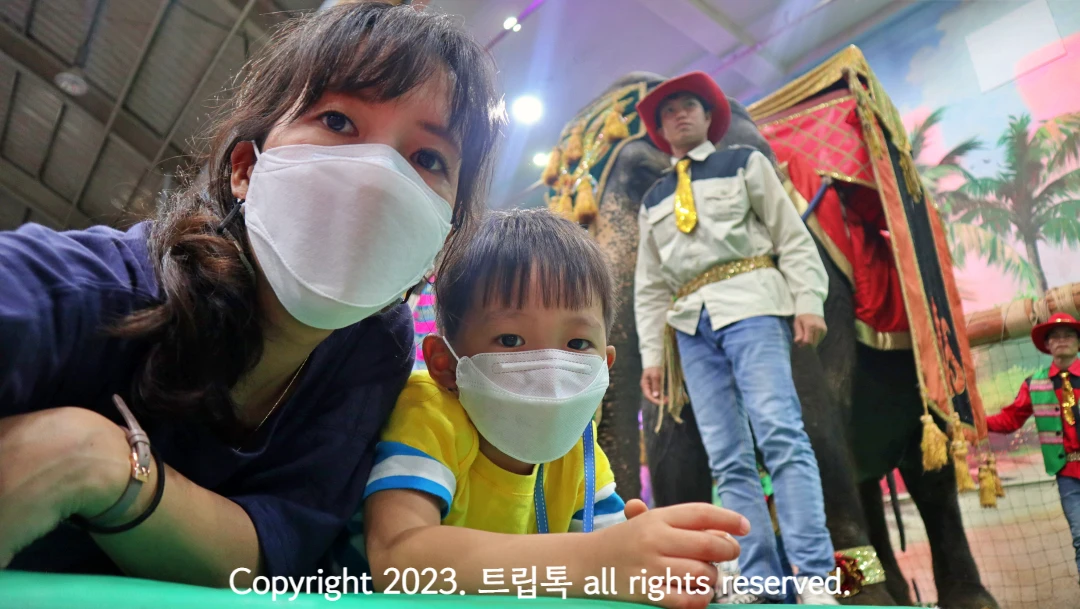 코끼리 앞에서 엎드려있는 2사람