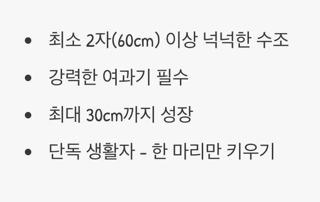 단 하나의 약속&amp;#44; 황제에게 걸맞은 궁전을