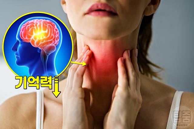 치매 증상 의심 뇌종양 갑상선 비타민 섬마 우울증