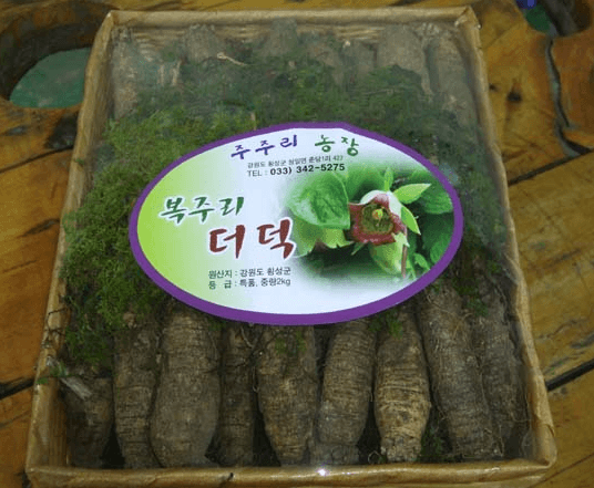 [6시 내고향] 횡성 더덕 택배 주문 선물세트 판매 주주리농장