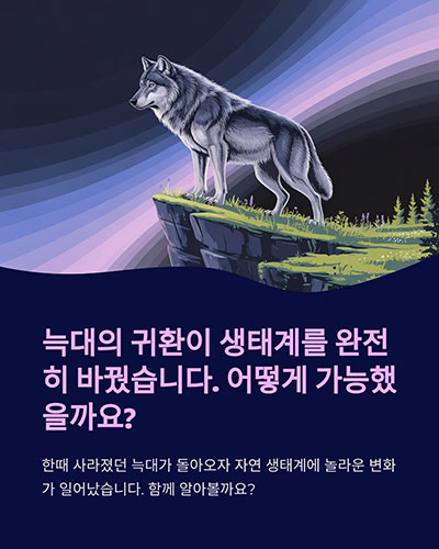 늑대 복원, 생태계를 바꾼 기적의 실험