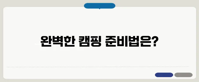 Bonnaroo 생존 팩 완벽 가이드 캠핑 장비와 필수 꿀팁 총망라!
