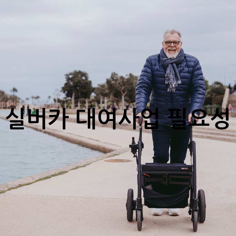 2025년 어르신 실버카 대여 시범사업