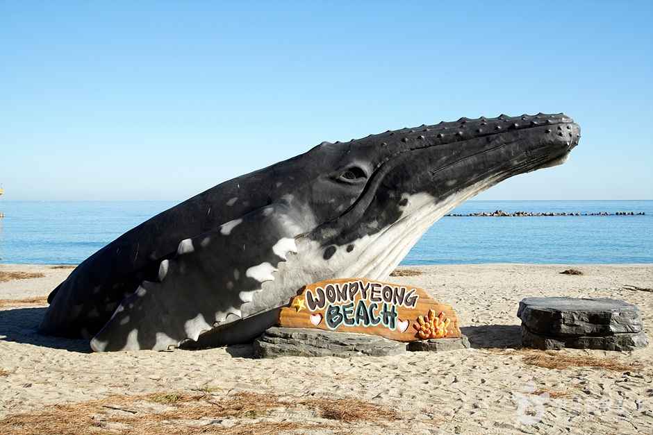 삼척 원평해변