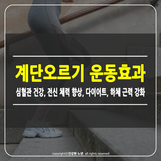 계단오르기 운동효과 썸네일