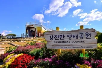 강진 수국길축제 일정 초대가수 강진 여행 2025 완벽 가이드_12