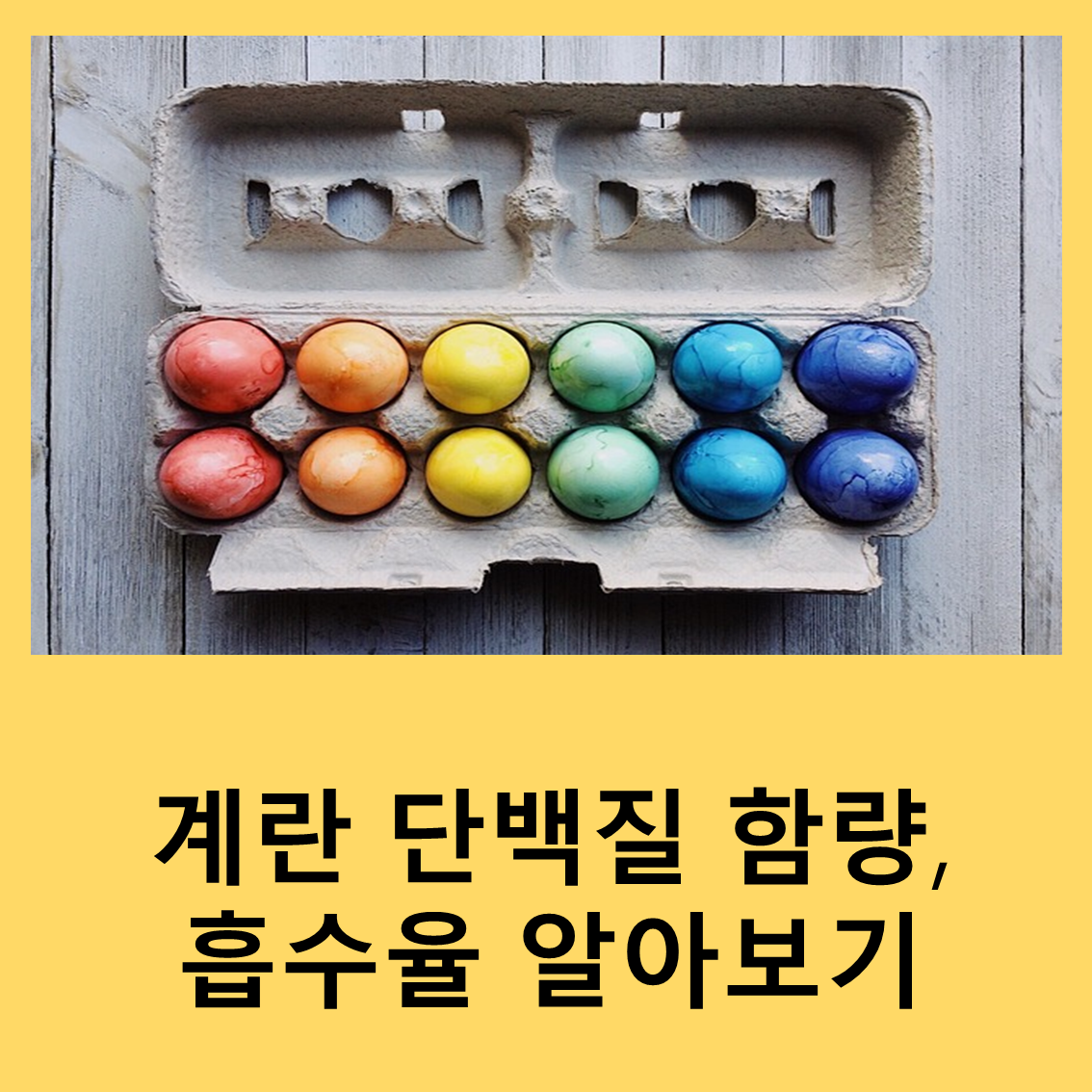 계란