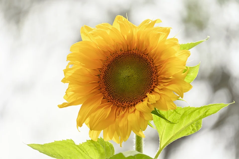 건강관리 관련사진