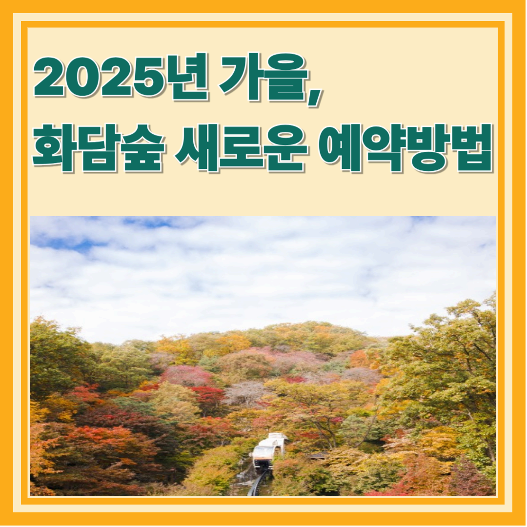 2025년 가을, 화담숲 예약 이렇게 바뀌었다! 최신 예약 방법 완전 정리
