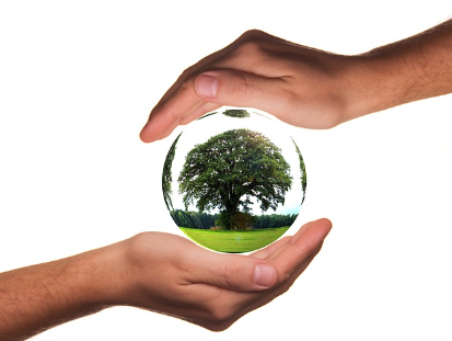 탄소중립포인트 자동차 신청방법 신청기간과 관련된 탄소절감하여 건강해진 나무와 나무를 받치고 있는 손 사진