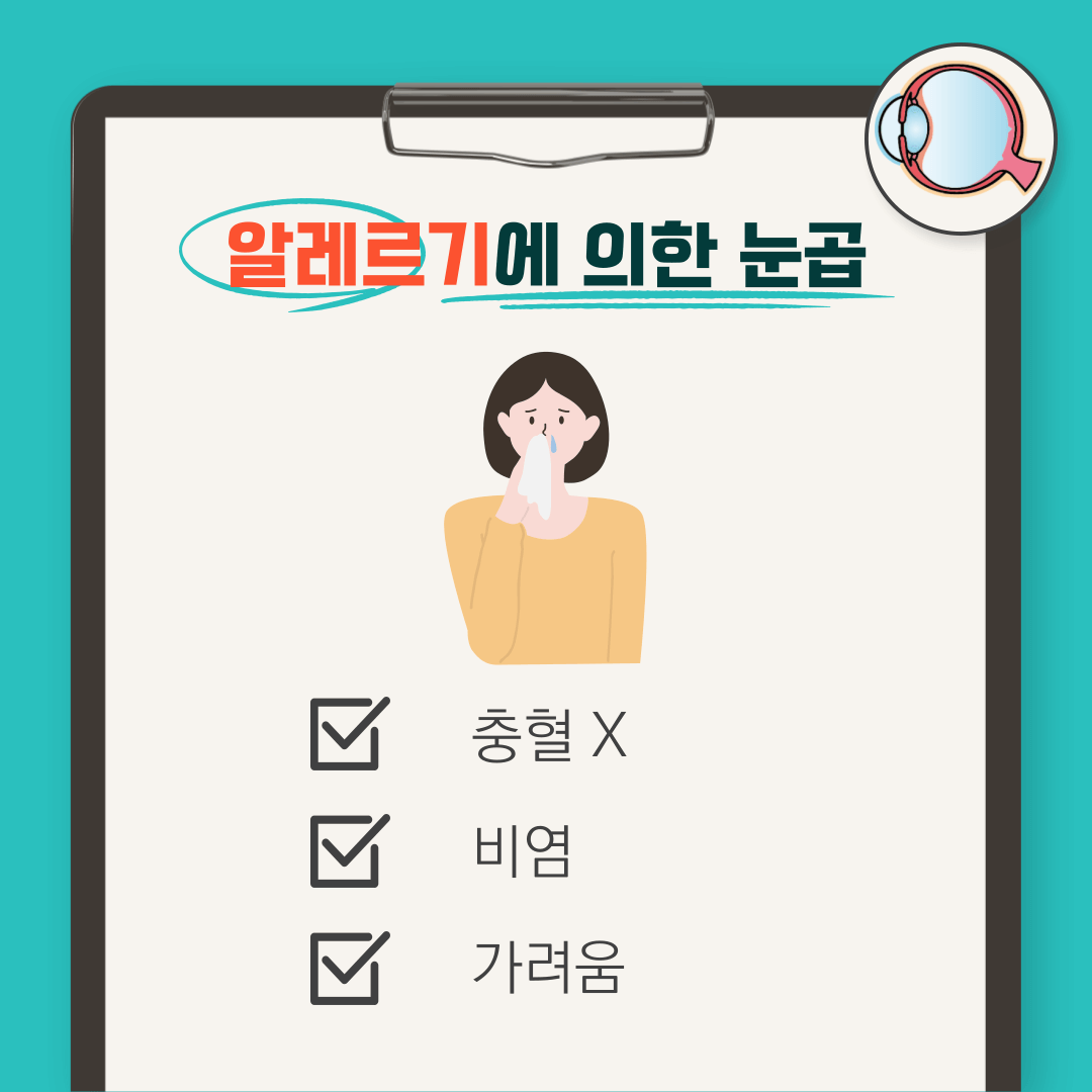 눈곱 끼는 이유: 눈곱 자주 끼는 이유