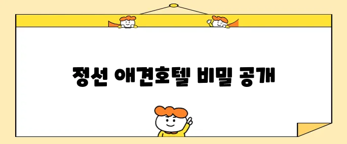 강원도 정선 여행 필수 아이템 메이힐스 가성비 높은 애견동반 호텔 숙소 추천입니다!