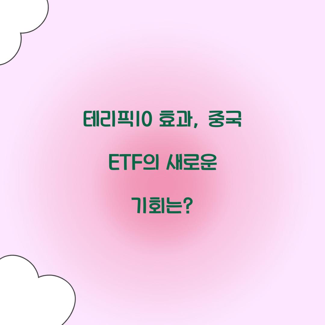 테리픽10 효과