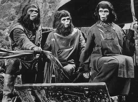 혹성탈출 유인원들의 모습