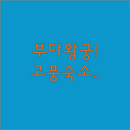 부다왕궁 근처 조용하고 고풍스러운 숙..