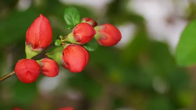 온수매트 선물 분리난방 예약기능 저소음 따뜻하고 안전한 수면환경 만들기_5