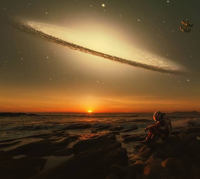 Large-scale tidal field와 cosmic web의 형성