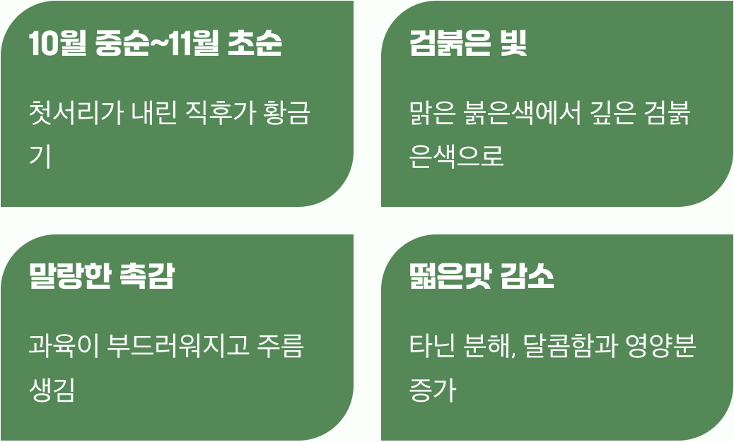 첫서리, 자연이 내리는 마법의 주문