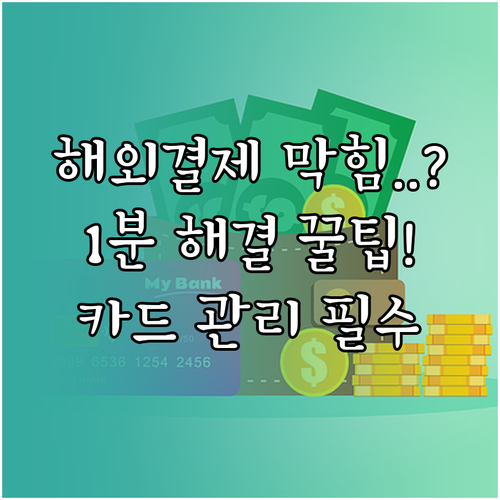 1분 만에 끝내는 해외 이용 제한 해..
